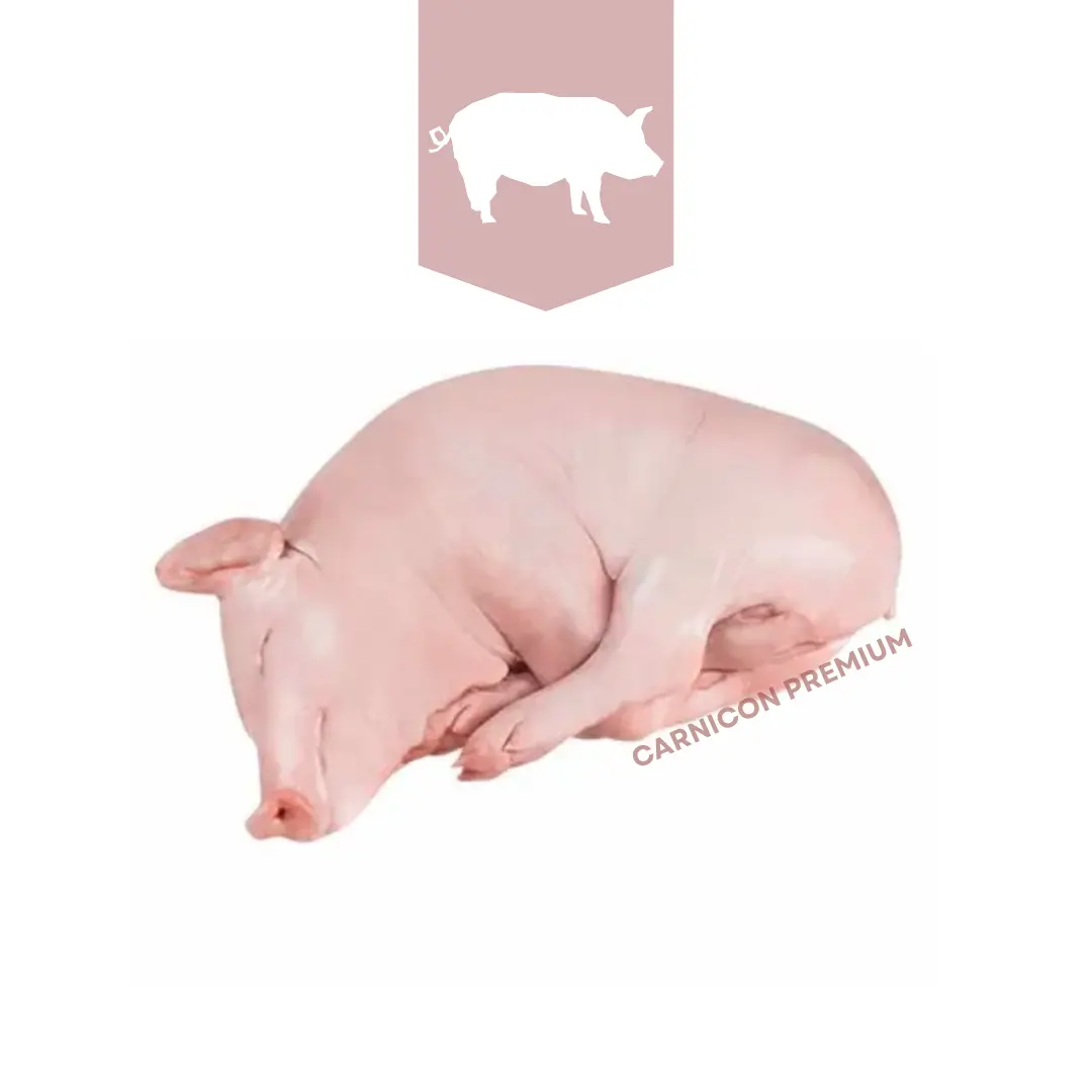LECHON