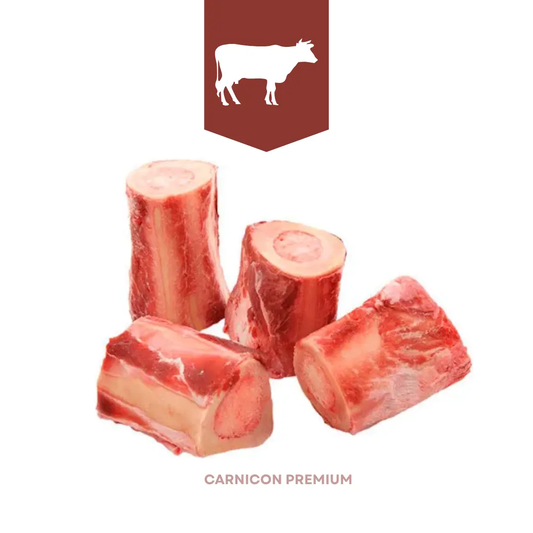 HUESO DE TUÉTANO