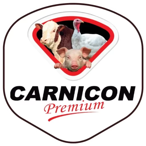 cropped-logo-editado.webp